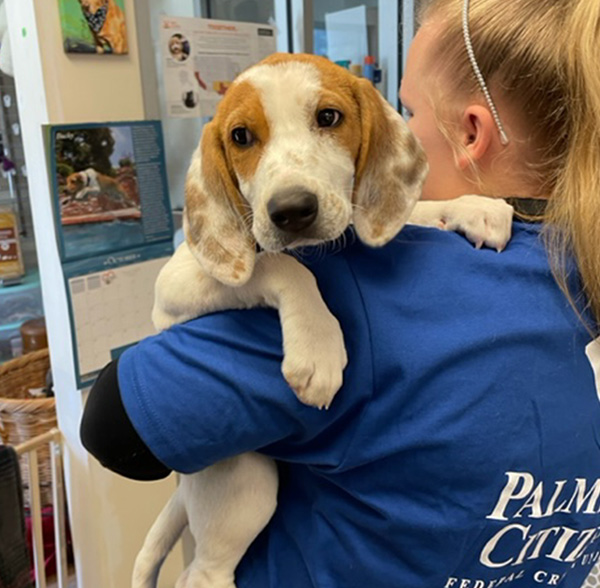 Staff Volunteers at Kershaw County Humane Society